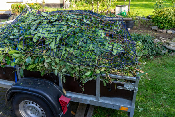 Best Carpet Removal and Disposal  in Bagley, MN